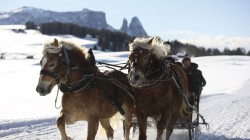 Ride on a horse-drawn sleigh in Val Gardena